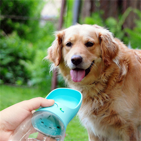 Pet Products